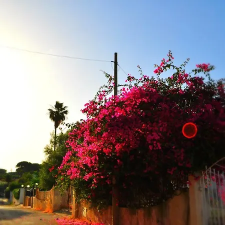 Via Polimnia Di